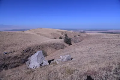 DSC_2175 (Large).JPG